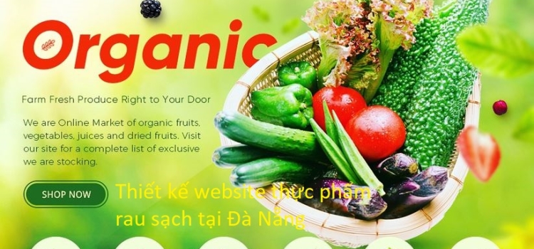 Thiết kế website thực phẩm rau sạch tại Đà Nẵng